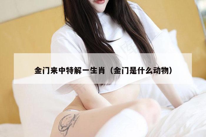 金门来中特解一生肖（金门是什么动物）
