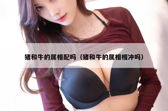 猪和牛的属相配吗（猪和牛的属相相冲吗）