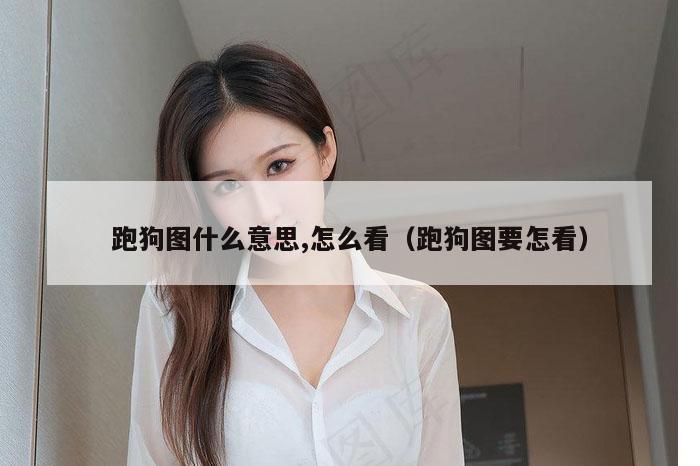 跑狗图什么意思,怎么看（跑狗图要怎看）
