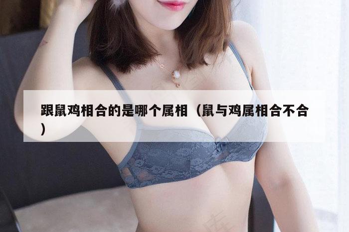 跟鼠鸡相合的是哪个属相（鼠与鸡属相合不合）